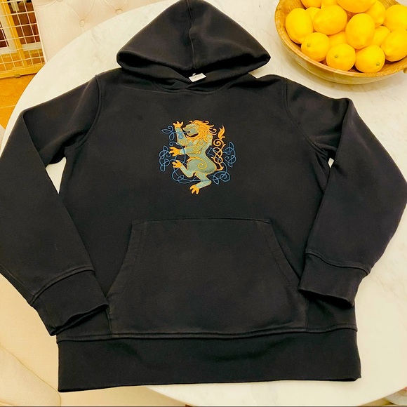 GAP Other - Clearance!  Men’s Gap hoodie with added Celtic Lion embroidery